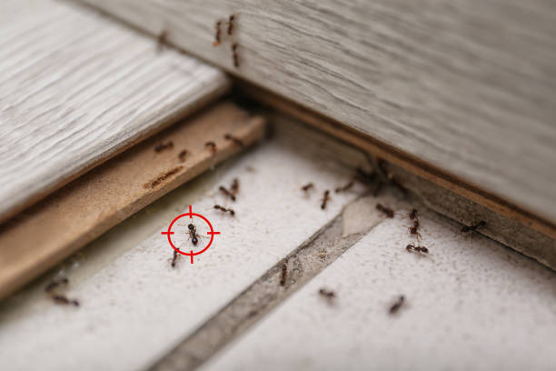 Best Wildlife Control Services  in Lake Linden, MI