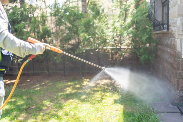 Best Mosquito Control Services  in Lake Linden, MI