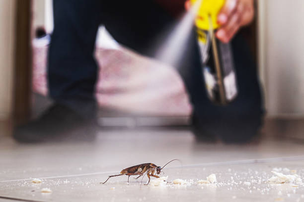 Best Termite Control Services  in Lake Linden, MI