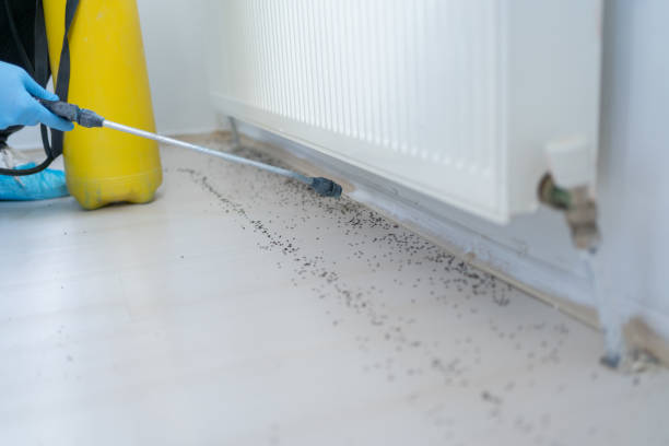 Best Affordable Pest Control Services  in Lake Linden, MI