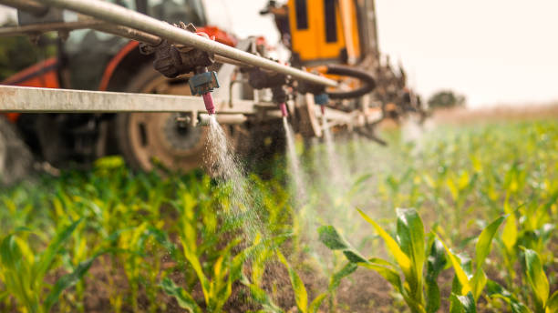 Best Pest Removal Services  in Lake Linden, MI