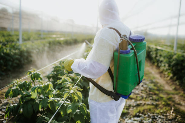 Pest Control for Restaurants in Lake Linden, MI